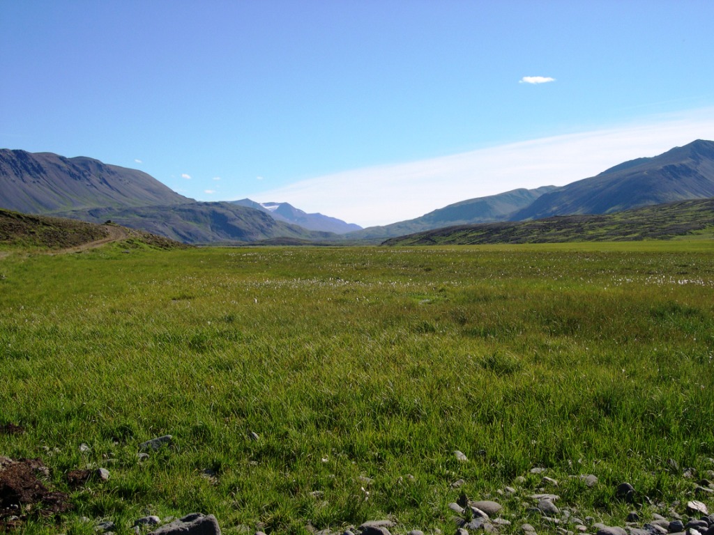 sumarið og haustið 2005 018