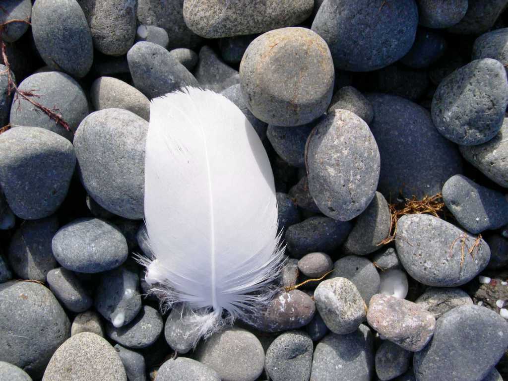 Copy of Fjordur2006 016