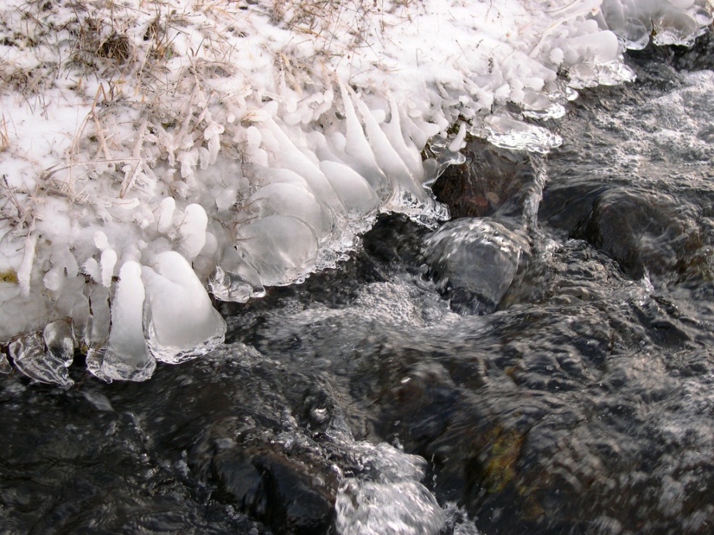 sumari og hausti 2005 043