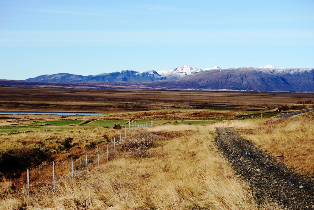 Sklholt 2009